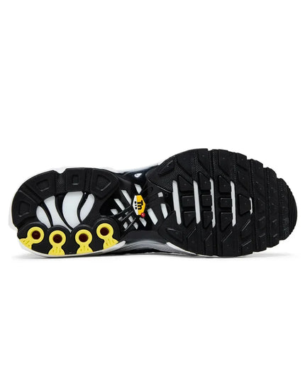 Nike Air Max TN Plus "Killer Whale"