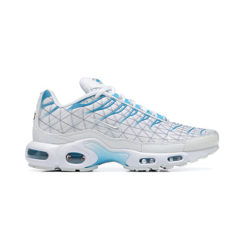 Nike Air Max TN Plus "Marseille"