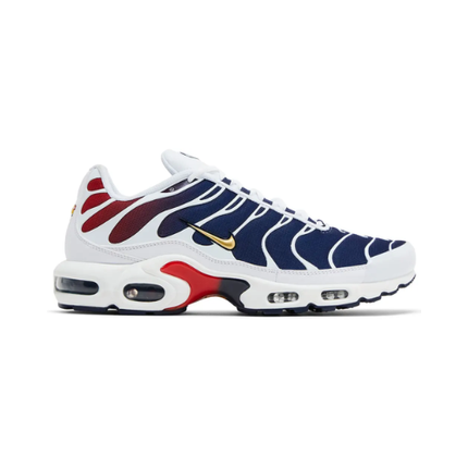 Nike Air Max TN Plus "PSG"